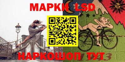 стаф Кинель