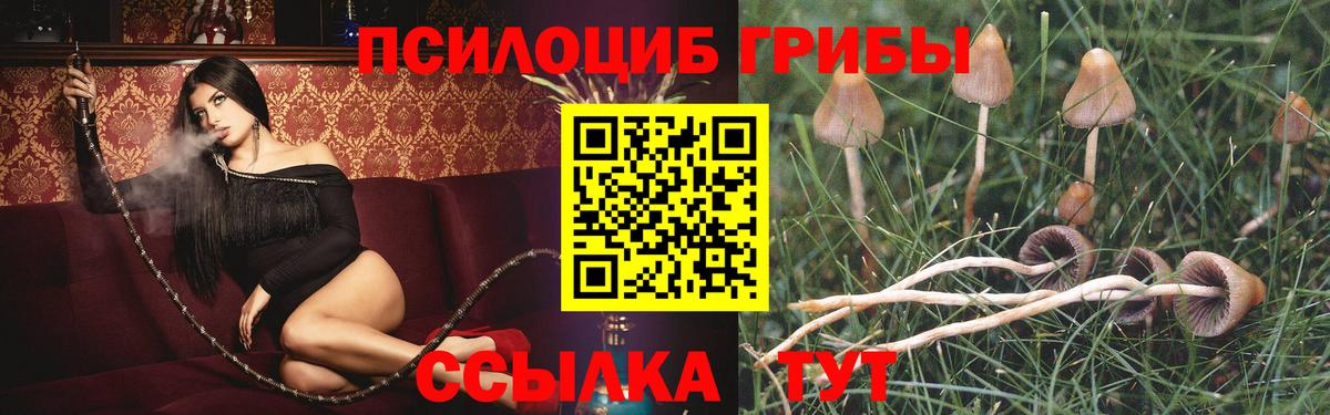 Корсаков  Псилоцибиновые грибы прущие грибы  Вход с VPN 